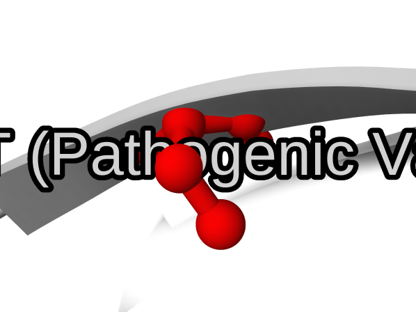 Model output render for: In p53 (PDB 1TUP), highlight the residue affected by the pathogenic ClinVar variant S215T as red ball-and-stick.
