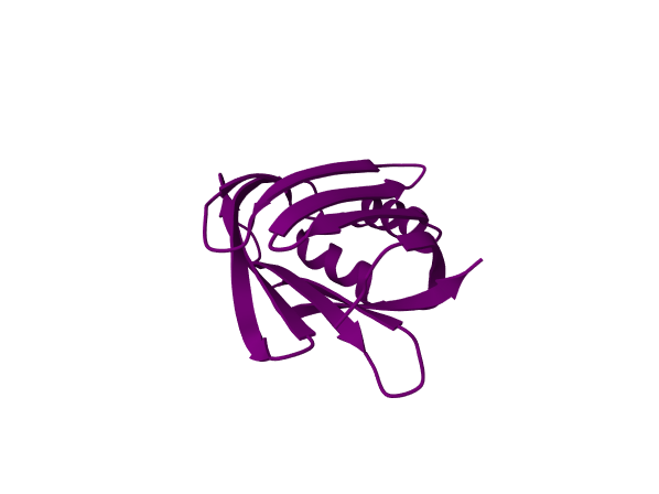 Model output render for: Load cellular retinoic-acid binding protein (1CBS) and show the protein as a purple cartoon.
