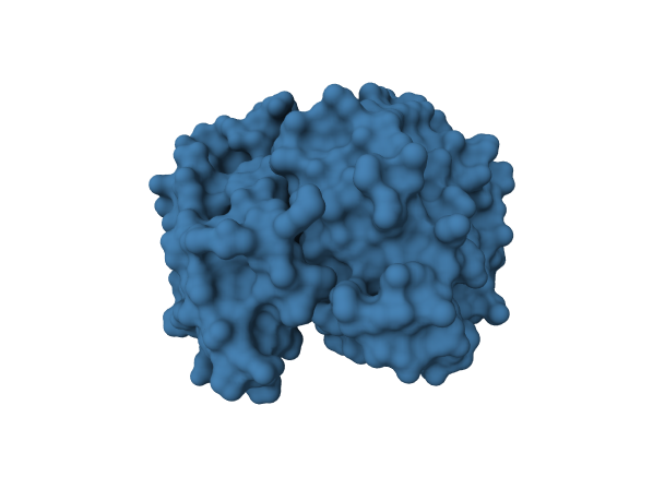 Model output render for: Load 1HHO; render the protein as a steelblue molecular surface.
