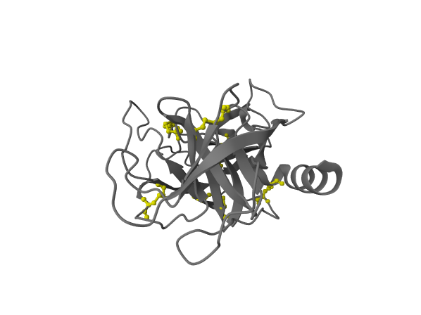 Reference render for: Load 3PTB; protein as grey cartoon, and highlight the disulfide-bonded cysteines as yellow ball-and-stick.