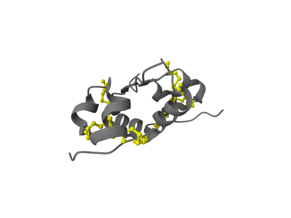 Reference render for: Load 4INS; protein as grey cartoon, and highlight the disulfide-bonded cysteines as yellow ball-and-stick.