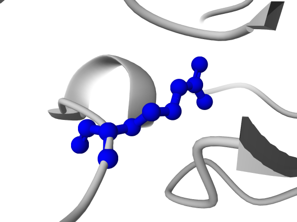Model output render for: In p53 (PDB 1TUP), select the residue at canonical UniProt position 175 and show it as blue ball-and-stick.