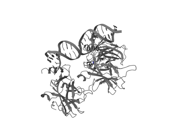 Reference render for: In p53 (PDB 1TUP), select the residue at canonical UniProt position 175 and show it as blue ball-and-stick.