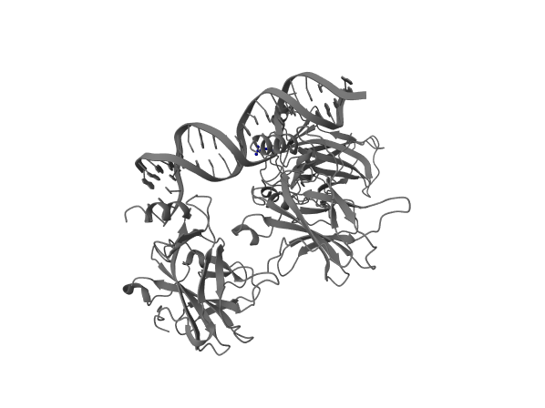 Reference render for: In p53 (PDB 1TUP), select the residue at canonical UniProt position 248 and show it as blue ball-and-stick.